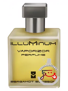 Bergamot Blossom Illuminum